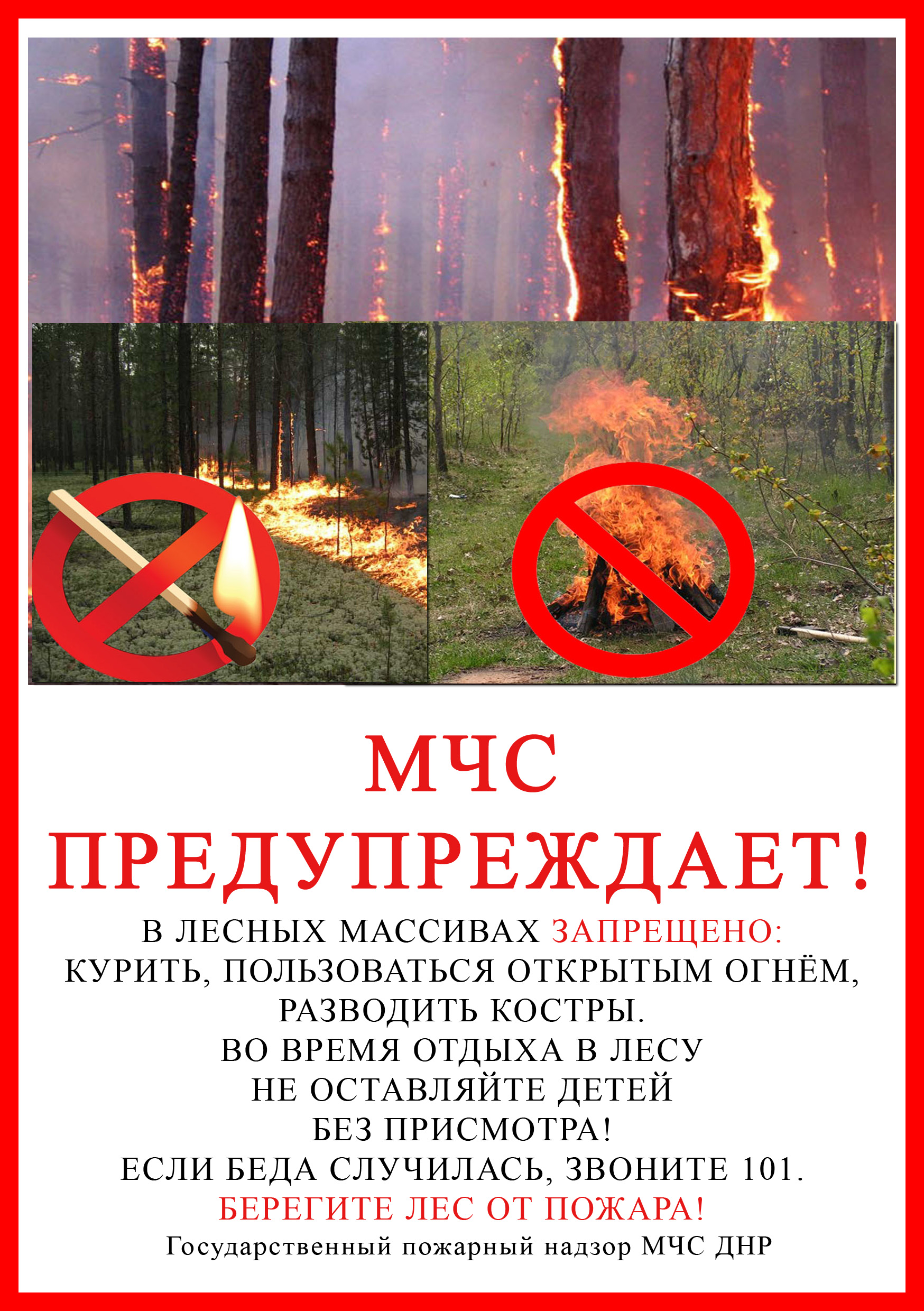Разводить костер в лесу запрещено