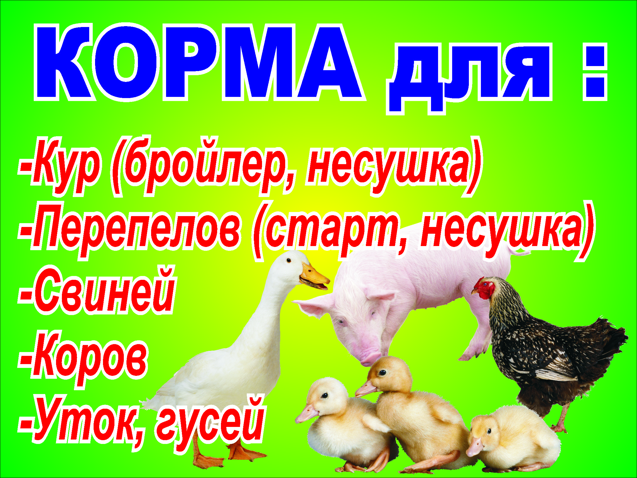 Комбикорм Для Несушек Купить В Казани